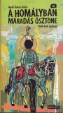 Bookart Kiadó Hajdú Farkas-Zoltán: A homályban maradás ösztöne - Képes regény - könyv
