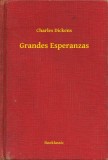 Booklassic Charles Dickens: Grandes Esperanzas - könyv