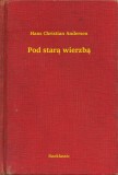 Booklassic Hans Christian Andersen: Pod starą wierzbą - könyv