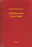Booklassic Nathaniel Hawthorne: A Rill from the Town Pump - könyv