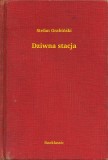 Booklassic Stefan Grabinski: Dziwna stacja - könyv
