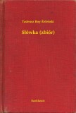 Booklassic Tadeusz Boy-Zelenski: Słówka (zbiór) - könyv