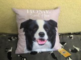 Border Collie kutyás párnahuzat 40*40 cm