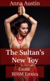 Boruma Publishing, LLC Anna Austin: The Sultan's New Toy - könyv