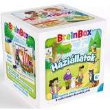 Brainbox: Háziállatok