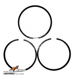 Briggs dug.gyűrű Qv.65.09 vék