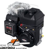 Briggs & Stratton Motor 800 series 1263121236B8R7001