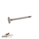 Briggs szívószelep Qvatro