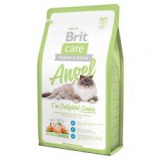 Brit Care Cat ANGEL I'm Delighted Senior 2 kg