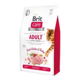Brit Care Cat Grain-Free Adult Activity Support 2kg