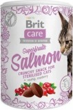 Brit Care Cat Snack Superfruits salmon 100 g