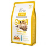 Brit Care Cat SUNNY I've Beautiful Hair 2 kg
