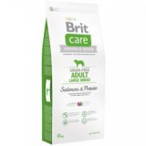 Brit Care Grain-free Adult Large Breed Salmon & Potato 12kg