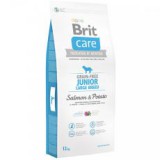 Brit Care Grain-free Junior Large Breed Salmon & Potato 12kg
