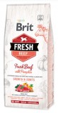 BRIT FRESH 12KG PUPPY LARGE BEEF WITH PUMPKIN LARGE SZÁRAZTÁP