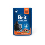 Brit Premium Cat alutasak Salmon for Sterilised 100g