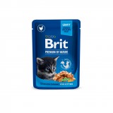 Brit Premium Cat Chicken Chunks for Kitten alutasakos 24 x 100 g