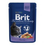 BRIT Premium Cat Cod Fish alutasakos eledel 100 g