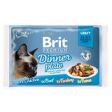 BRIT Premium Cat Delicate Fillets in Gravy Dinner Plate alutasak 4 x 85 g