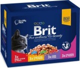 Brit Premium Cat Pouches Family Plate 12 x 100 g