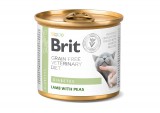 Brit Veterinary Diet Diabetes macskakonzerv 200 g