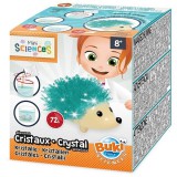 BUKI mini tudomány - süni kristály