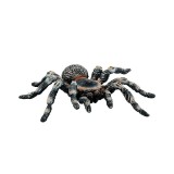 Bullyland Fehértérdű madárpók játékfigura