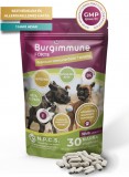 Burgimmune Forte Prémium Immunerősítő Tabletta 30 db