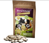 Burgimmune FORTE Prémium Immunerősítő Tabletta - 30 db-os RAKTÁRON