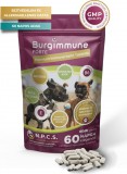 Burgimmune Forte Prémium Immunerősítő Tabletta 60 db
