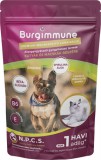 Burgimmune immunerősítő por 45 g