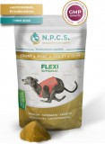 Burgimmune N.P.C.S. FLEXI – Csont, porc, ízület, izom por alakban 45 gr