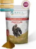 Burgimmune N.P.C.S. FORTFLEX – Csont, porc, ízület, izom (fájdalomcsillapítós) por alakban 50 gr