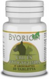 ByOrigin CBD és süngomba tartalmú tabletta kutyáknak és macskáknak (50 db tabletta)