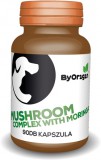 ByOrigin immunerősítő gomba kapszula kutyáknak és macskáknak (90 db tabletta)