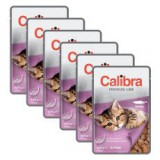CALIBRA Cat Kitten lazac darabok szószban 6 x 100 g