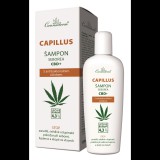 CANNADERM Capillus Seborea CBD+ sampon 150 ml (8594027710537)