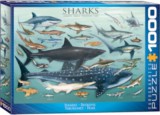 Cápák, 1000 db-os puzzle (EUROGRAPHICS, 6000-0079)