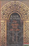 Carl Hanser Verlag Rafik Schami - Die dunkle Seite der Liebe