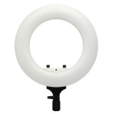 Caruba 12 hüvelykes RGB Vlogger LED körfény szett táskával – Fehér