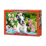 Castorland 500 db-os puzzle - Francia bulldog kölyök