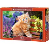 Castorland Vörös cica 500db-os puzzle (B-52240) (5904438052240) - Kirakós, Puzzle