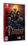 CENEGA Darkest Dungeon II, Nintendo Switch, Konzol játékszoftver