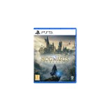 CENEGA Hogwarts Legacy - PS5 (PS - Dobozos játék)