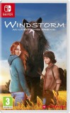 CENEGA Windstorm: An Unexpected Arrival, Nintendo Switch, Konzol játékszoftver
