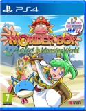 CENEGA Wonder Boy: Asha in Monster World, PlayStation 4, Konzol játékszoftver