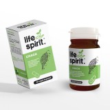 Chaga (Hamvaskéreg) teljes spektrumú gombakivonatot tartalmazó étrend-kiegészítő kapszula 60 db - Life Spirit