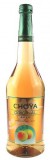 CHOYA "Original" Sake (0,75L 10%)