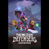 Chromatic Games Dungeon Defenders: Awakened (PC - Steam elektronikus játék licensz)