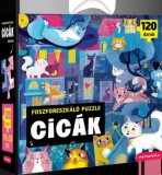 Cicák